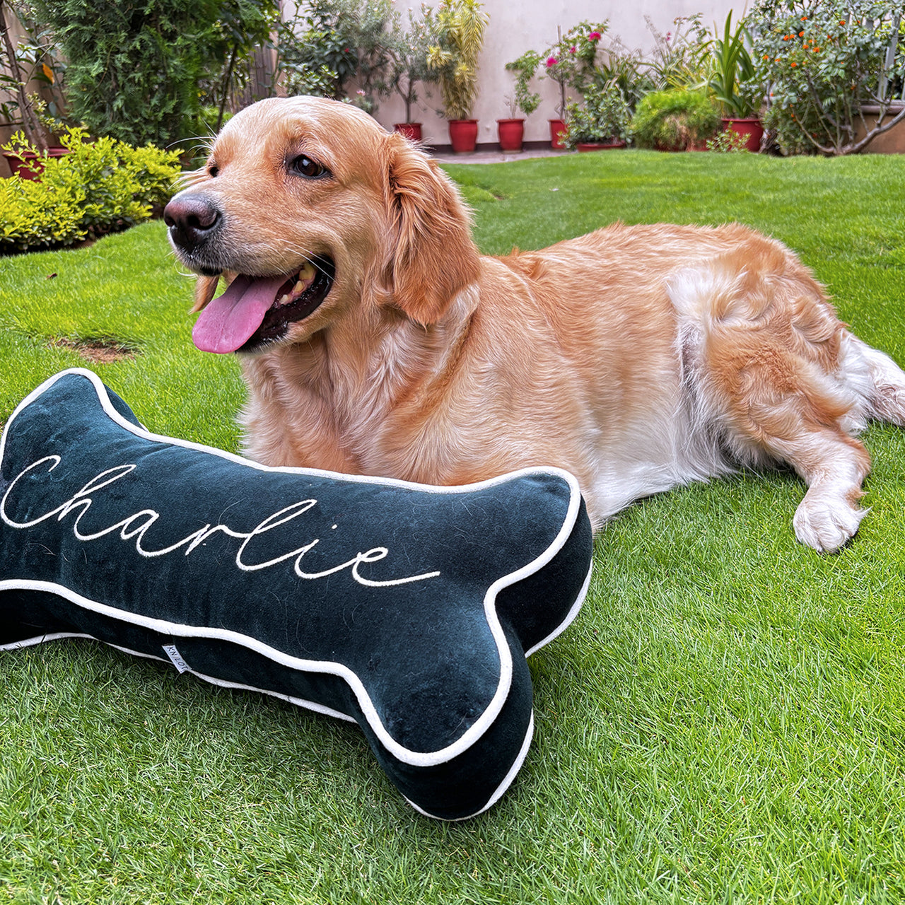 Personalized Dog Bone Shaped- Custom Name Dog Pillow Bone, Customize Gifts for Dogs, Pet Owner Gifts, Gifts for Pets