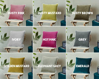 Thumbnail for Blush White pippin Cotton Velvet Cushion Cover